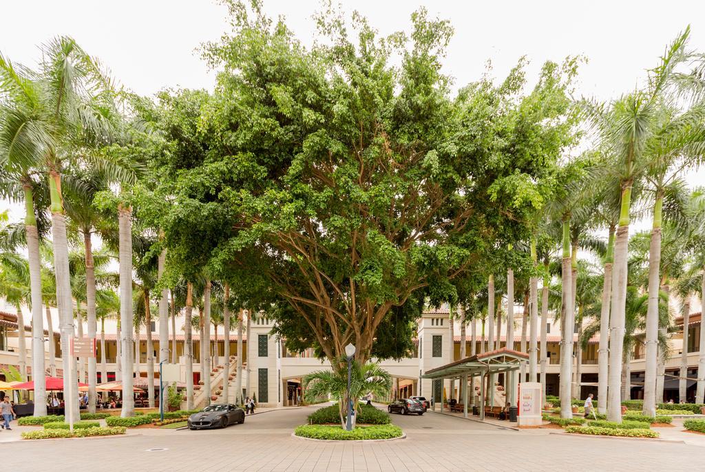 Pelicanstay In Coral Gables Miami Exterior photo